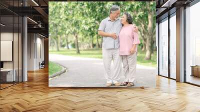 Happy senior couple walking in the park Wall mural