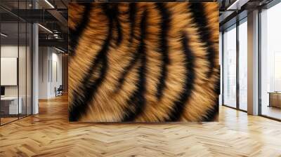 Close-up of tiger fur texture, natural Tiger pattern, and colors with detailed stripes. Wall mural