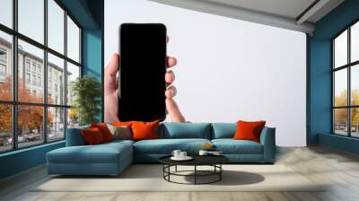 A closeup to a pair of hands holding a smartphone device and the screen is blank Wall mural