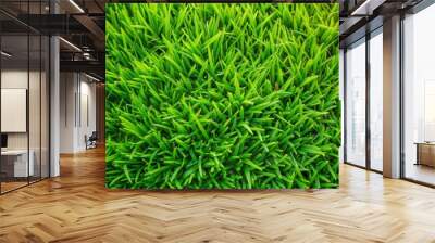 Close-up of green grass blades showcasing texture and vibrancy Wall mural