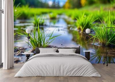 Close-up of green grass reflecting in shallow puddle Wall mural