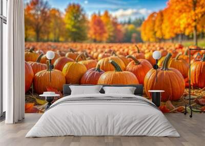 Close-up of pumpkins with colorful autumn leaves in field Wall mural