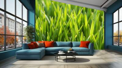 Detailed close-up of green grass blades Wall mural