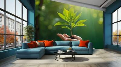 Green sprout held in hands symbol of nature and growth Wall mural