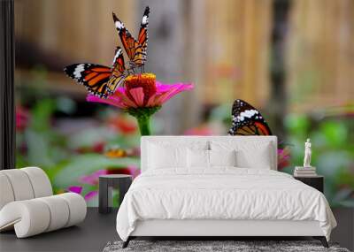 Butterfly in garden Wall mural