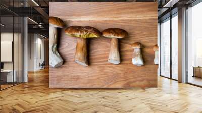 Mushrooms boletus on wooden table Wall mural