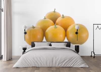 6 mandarin oranges Wall mural