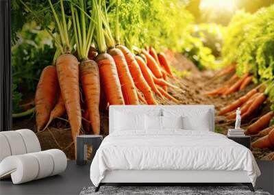 A row of carrots growing in a field Wall mural