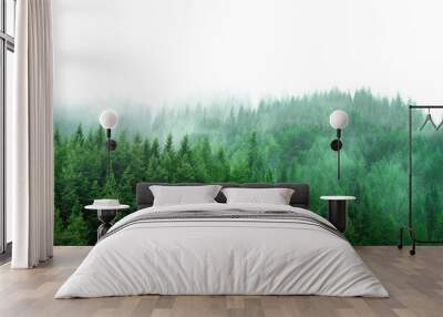 green forest with mist and clear blank space Wall mural