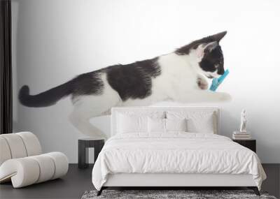 small cat playing isolated on white background Wall mural