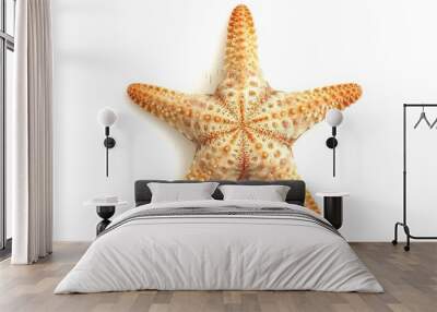 Starfish isolated on white background, top view Wall mural