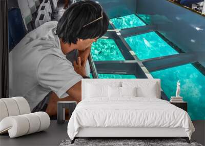 Male tourist looks at coral reefs through the transparent bottom of a ship in Sharm El Sheikh, Egypt. Tourist service of the exploration of the underwater life of the Red Sea from the submersible Wall mural