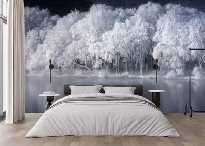 frozen trees in mountain Wall mural