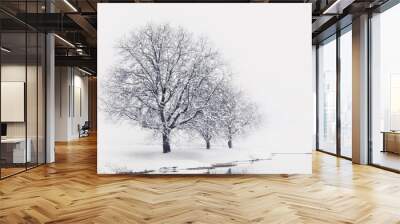 trees in snow Wall mural