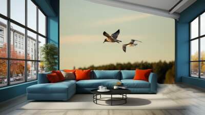 Birds Wall mural