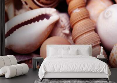 a lot of different empty sea shells on background, macro details Wall mural