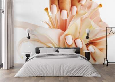 beauty delicate hands with manicure holding flower lily close up isolated on white Wall mural