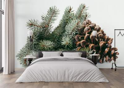 big pine tree cone like decoration to holiday card for Christmas with copyspace Wall mural