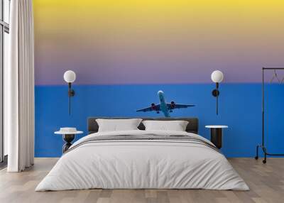 airplane in the air the sunset Wall mural