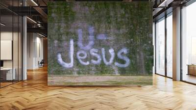 Jesus Wall mural