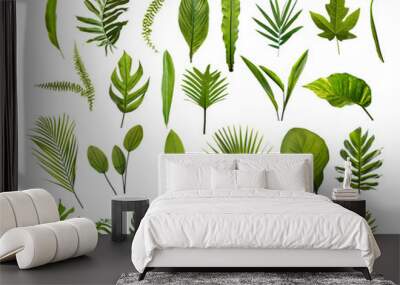 Collection of different tropical leaves. Elements set leaf on isolated white background Wall mural