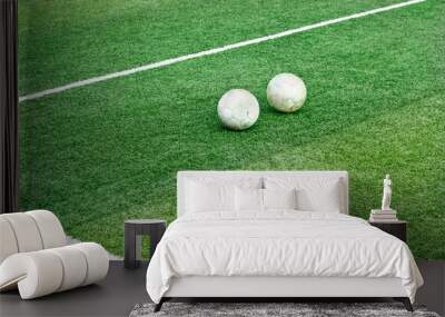 Green grass field with white mark line and two old football soccer Wall mural