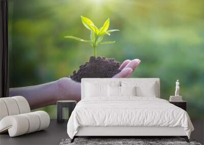 Human hand holding young plant with soil on nature background, environment concept Wall mural