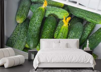 cucumbers Wall mural