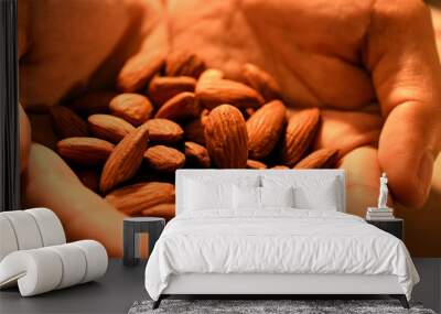 Organic raw almond healthy snack vegan vegetarian on hand Wall mural