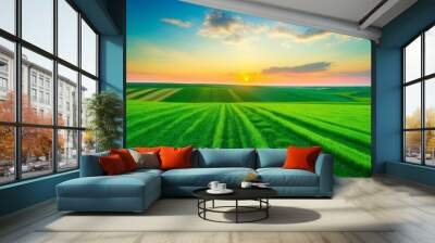 A view of green agriculture fields with a colorful sunset in the background Wall mural