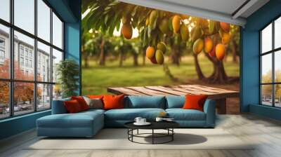 Ripe Mango tropical fruit hanging on tree with rustic wooden table and sunset at organic farm Wall mural