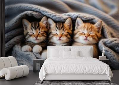 Two kittens cuddled together on a soft, gray knitted blanket Wall mural