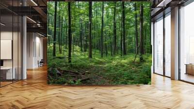 green forest in the morning Wall mural