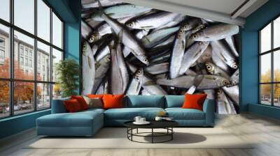 Fresh fish catch. Wall mural