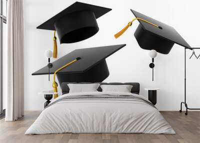 graduation hat on white background Wall mural