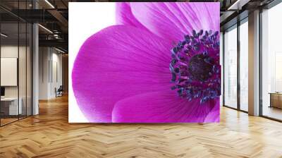 macro inside a purple anemone flower Wall mural