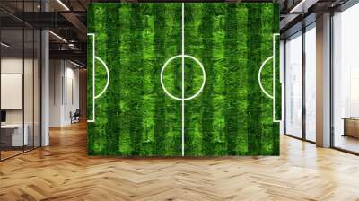 football fields illustration Wall mural