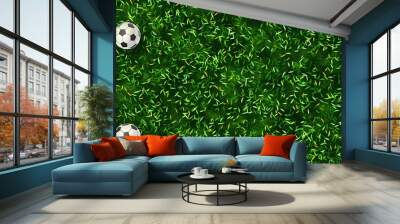 football fields illustration Wall mural