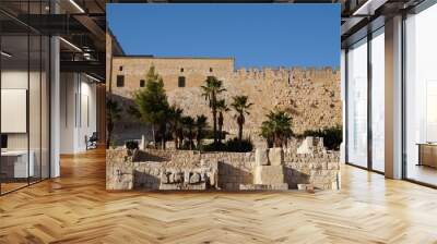 the wall of old jerusalem
 Wall mural