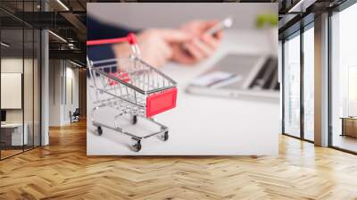  Bank card nearby a laptop and mini shopping cart on white background top view. Wall mural