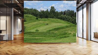 Meadow grass and forest trees in the wind Wall mural