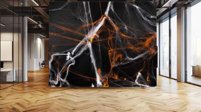 halloween, decoration and horror concept - Decoration of artificial spider web over black background with spiders Wall mural