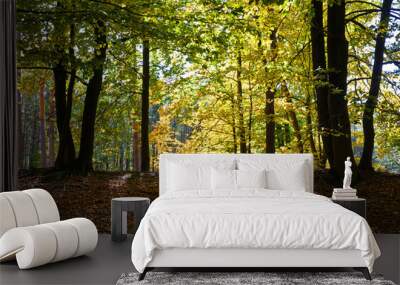 Autumn in the forest on a sunny day Wall mural