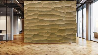 Waves on a carved linden board Wall mural