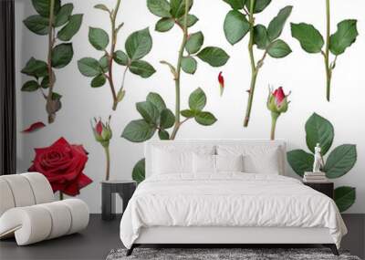 A collection of red roses with green leaves Wall mural