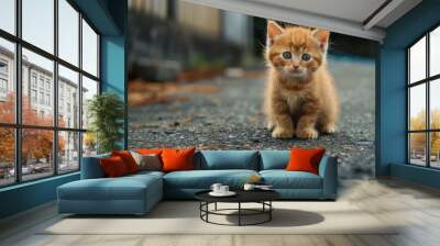 Cat's Yellow Eye Among Urban Elements Wall mural