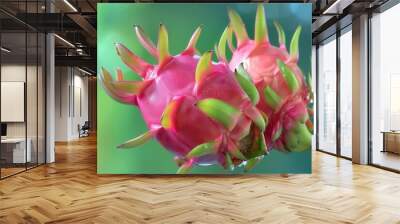 Exotic Beauty. Dragon fruit close-up image with high level of detail Wall mural