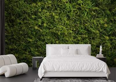 Lush Green Grass Texture. Natural and detailed grass background Wall mural