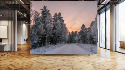 road snow forest frost sunset sky winter Wall mural