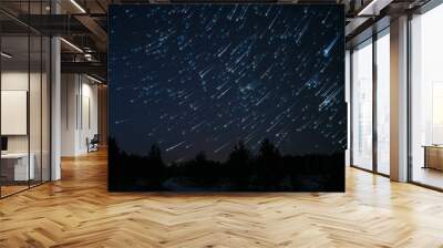 star tracks sky forest Wall mural